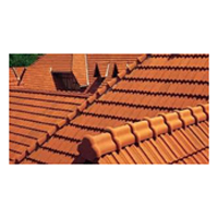 Clay Tile Roofing
